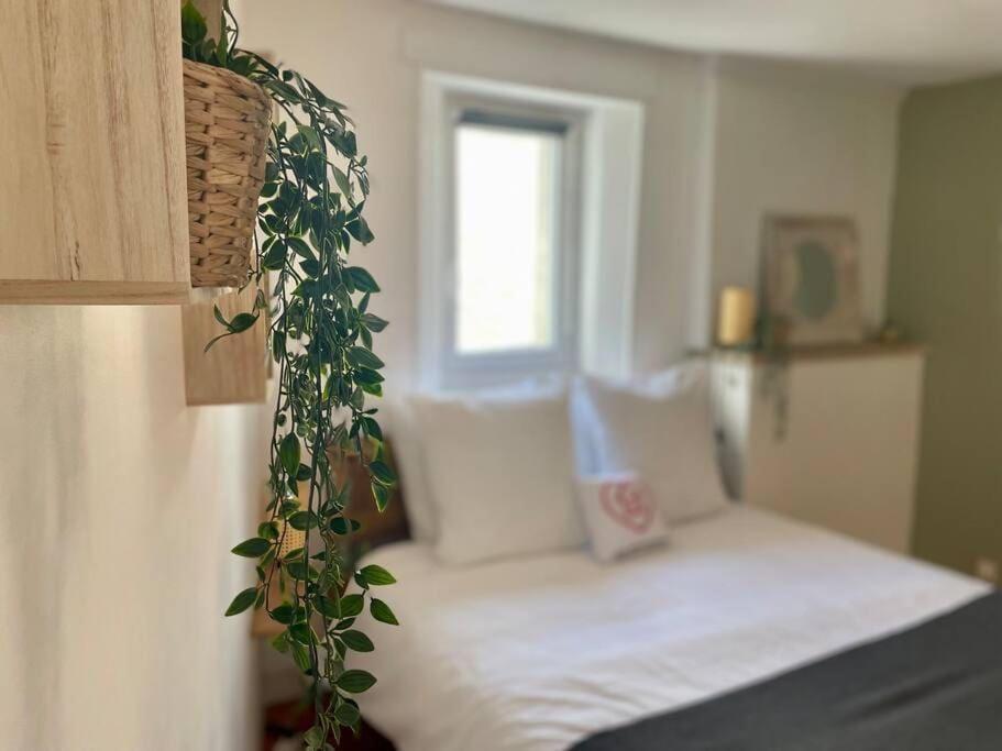 La Bellevue X Parking By Melrose Apartment Bayeux Ngoại thất bức ảnh